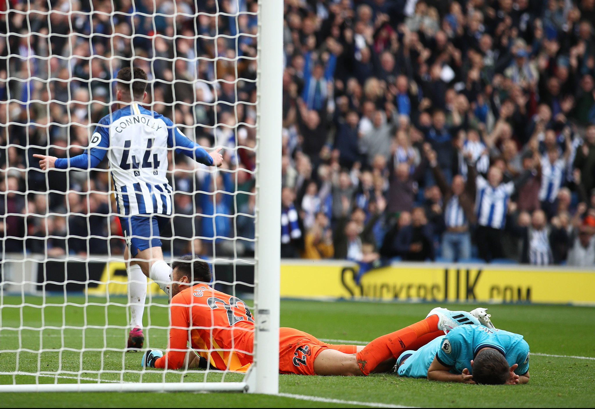 到他在草地 到他在草地